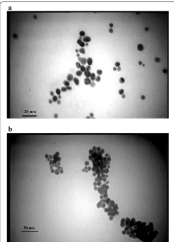 Fig. 2  TEM images of AuNPs in the presence of positive and negative 