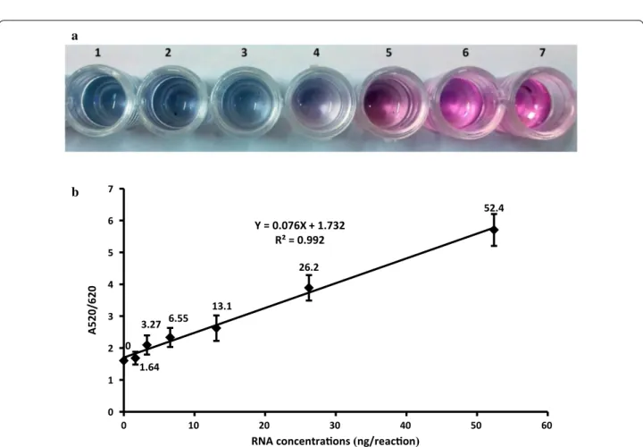 Fig. 4  a Visual color changes of developed detection assay at different BVDV-RNA concentrations