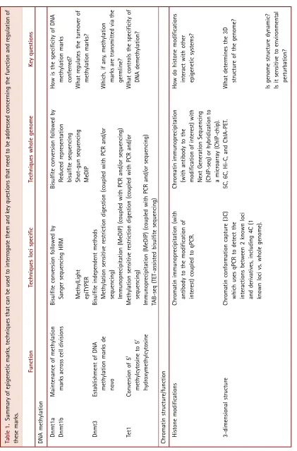 Table 1. Summary of epigenetic marks, techniques that can be used to interrogate them and key questions that need to be addressed concerning the function and regulation of