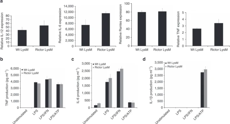Figure 2 | Rictor LysM macrophages have normal M1 function. (a) Real-time PCR analysis of M1 cytokines expression in BMDM following 24 h stimulation with LPS