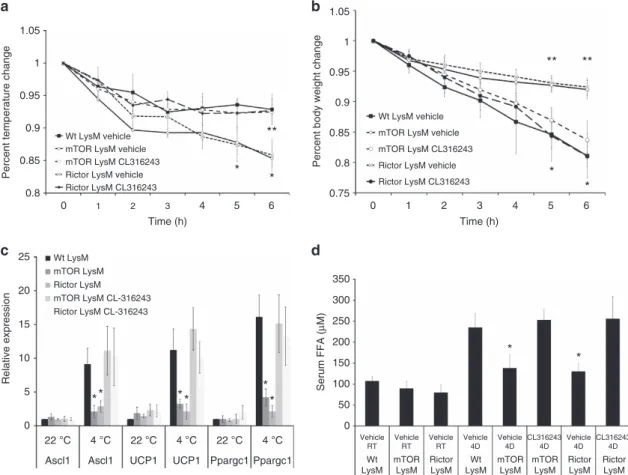 Figure 7 | b-adrenergic receptor agonist rescues mTOR LysM and Rictor LysM mice. (a) Body temperature change during 6-h cold challenge