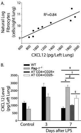Figure 5. Adoptive transfer of Tregs reduced lung CXCL12 concentra- concentra-tions. CXCL12 concentrations were measured in whole-lung  homoge-nates by ELISA