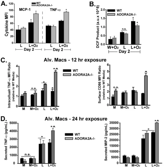 Figure 3. ADORA2A-deficient macrophages exposed to LPS plus oxygen demonstrate increased cytokine production as well as cosignaling molecule expression,  com-pared with WT macrophages