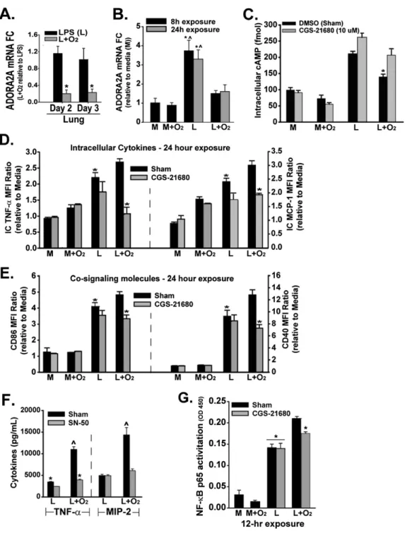 Figure 5. Oxygen blunts the induc- induc-tion by LPS of ADORA2A and ADORA2A pathway components in macrophages to augment the  proin-flammatory profile