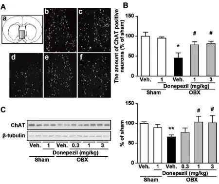 Figure 1. Effects of donepezil administration on cholinergic percentage of values of sham-operated animals (mean ± S.E.M.) (n = 6)