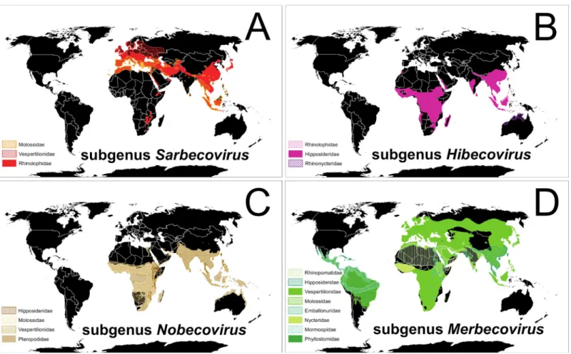 Fig 1. Global patterns of bats and associated β-CoVs. (A) Red-shaded distributions of bat species in which SARS-related β-CoVs of the subgenus Sarbecovirus have been detected; (B) pink-shaded distributions of bat species known to host β-CoVs of the subgenu