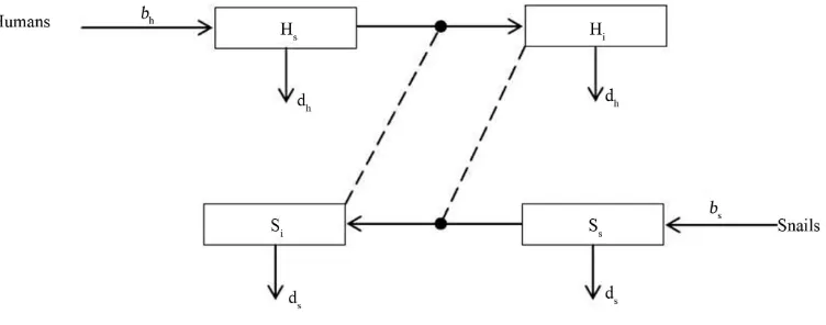 Figure 1. Transfer diagram.
