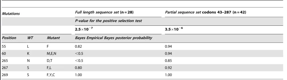 Table 1. Codons under positive selection in the PML sample.