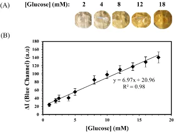 Figure 6.  (A) Pictures of bubbles containing different concentrations of glucose in artificial 
