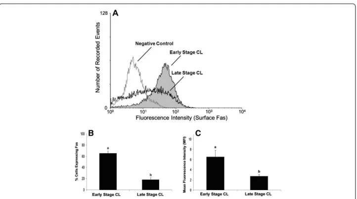 Figure 3 Relative expression of Fas mRNA in bovine CL during the early and late stages of the estrous cycle