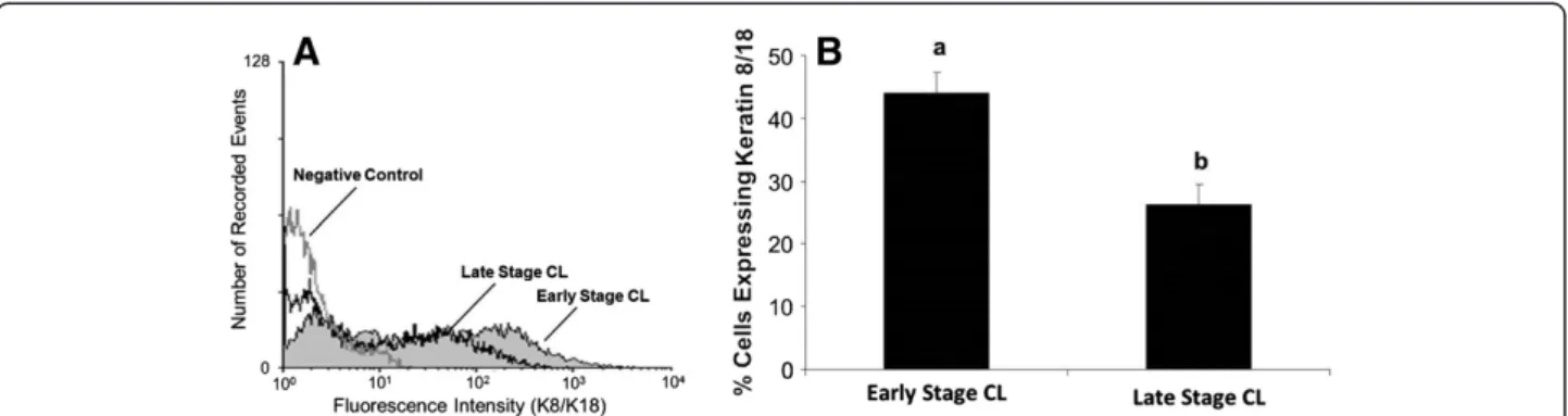 Figure 4 Flow cytometric analysis of K8/K18 expression in cells of early and late stage bovine CL