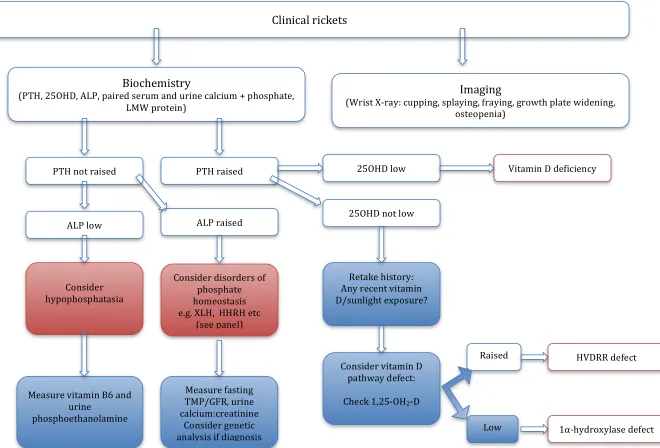Figure 2: Rickets management algorithm  