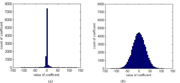Figure 2. Histogram of the distribution of the parameters. (a) DCT parameters; (b) CS measuring parameters