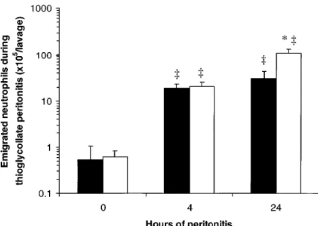 Figure 6. Peritoneal neutrophil emigration in WT and CD18 2/2  mice 0, 4, or 24 h after intraperitoneal injection of thioglycollate