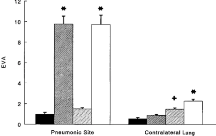Figure 6. The effect of anti-CD11b F(ab 9)2  on edema formation in endotoxin-pretreated rats with HCl-induced pneumonia