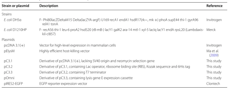 Table 1  Strains and plasmids used in this study