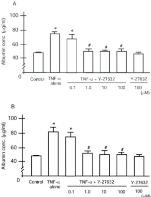 Figure 4. Permeability of endothelial monolayer determined by albu- albu-min transfer