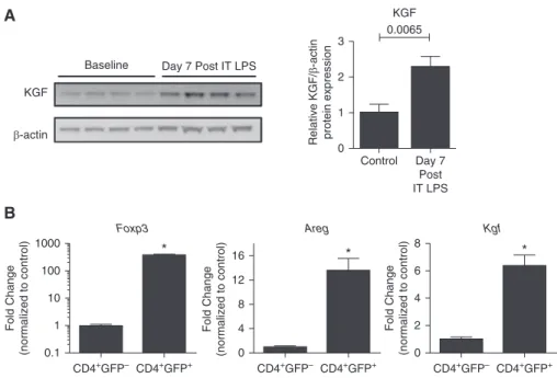 Figure 1. Keratinocyte growth factor (kgf) expression increases in the lung during acute lung injury (ALI) resolution