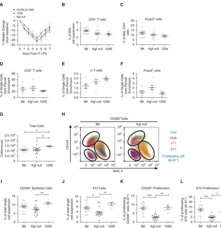 Figure 2. Alveolar epithelial proliferation is markedly impaired in kgf null mice during ALI resolution