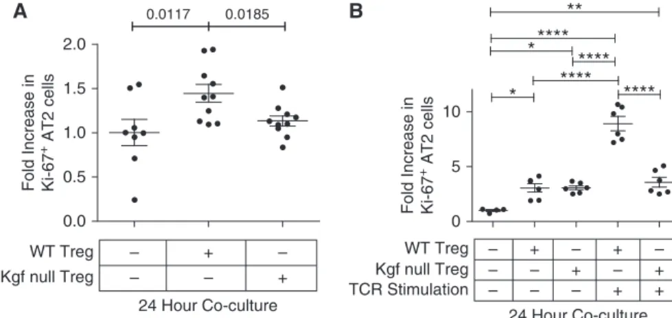 Figure 5. C57BL/6J (WT) Tregs, but not kgf null Tregs, augment epithelial proliferation of AT2 cells
