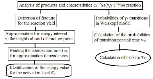 Figure 1.  The flowchart of the scientific study. 