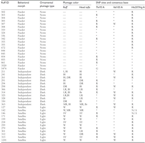 Table 1 Behavioral morph, plumage type, plumage color of ruff, head tufts, and MC1R sequence data for 44 male ruff individuals included in this study