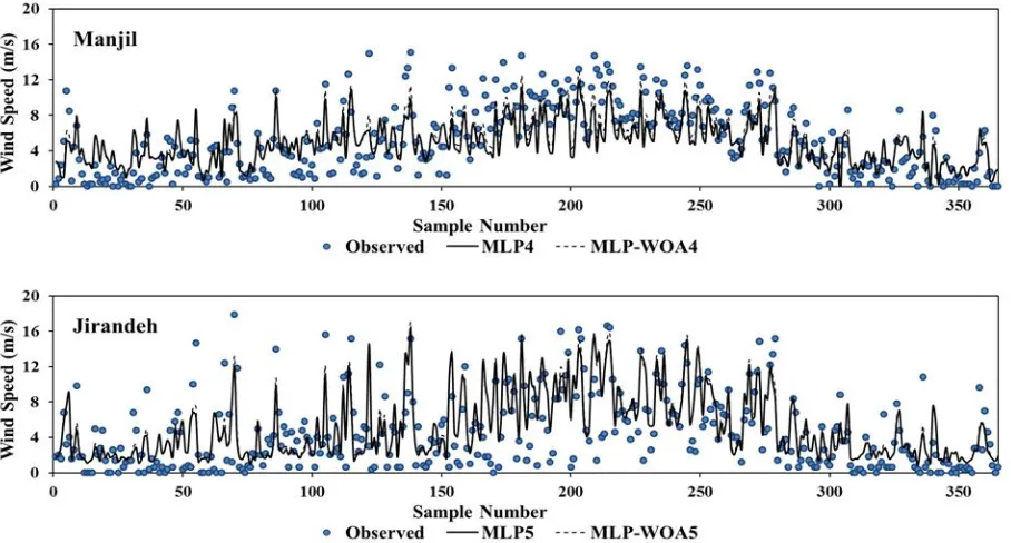 Fig. 6. Comparison of the predicted and observed daily wind speed values using the hybrid MLP-WOA and classical MLP models  