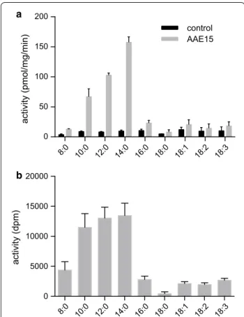 Fig. 2  Acyl-ACP synthetase activity assays of AAE15 expressed in  insect cells. Crude extracts of Sf9 cells (a), and purified AAE15 (b) were  incubated with an assay mixture containing ACP, ATP and [1- 14 C] fatty 