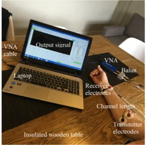 Figure 2. Intrabody signal propagation connected galvanically to measure signal attenuation after 600mL ﬂuid intake and after urinating on 12 male and eight female healthy adults.