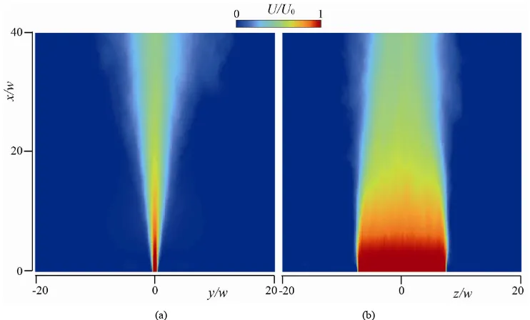 Figure 5. Flow field visualized on x-y cross-section at z = 0. (a) DNS; (b) Experiment