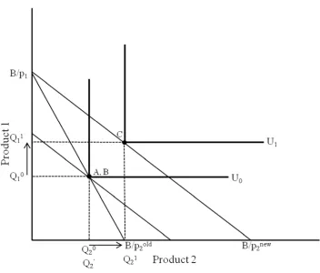 Figure 2: Efficiency and the rebound effect (perfect complements)