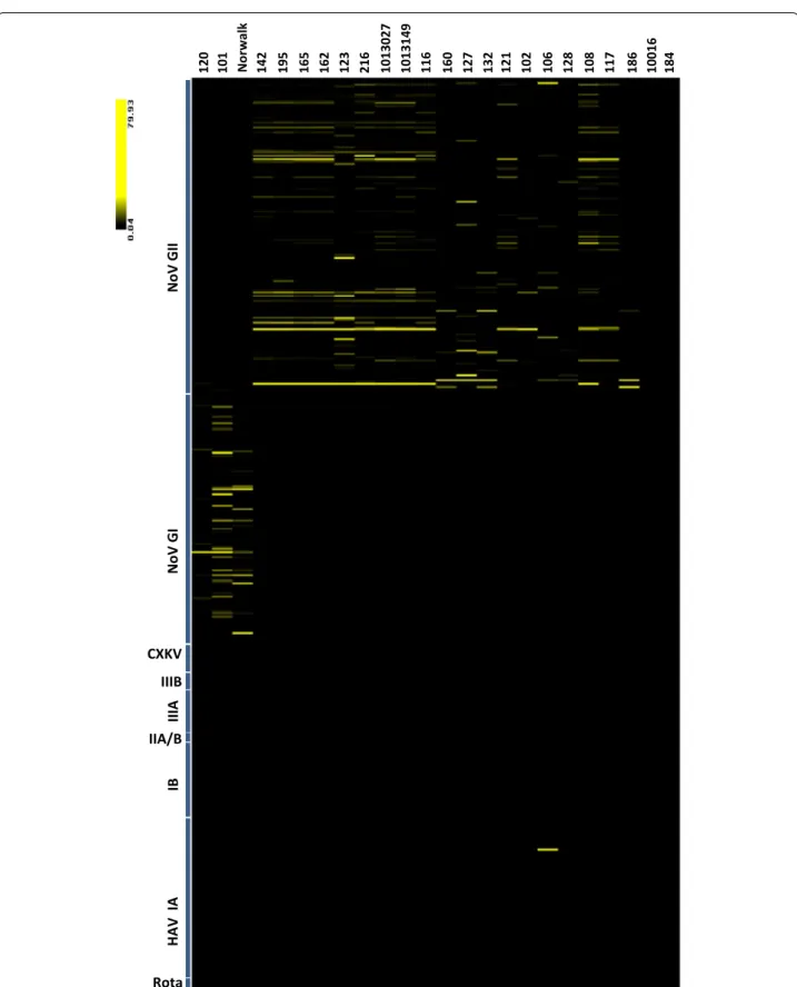 Fig. 2  Microarray hybridization results from a blinded panel of 22 fecal samples and two positive reference materials including Norwalk (GI) and  186 (GII) strains