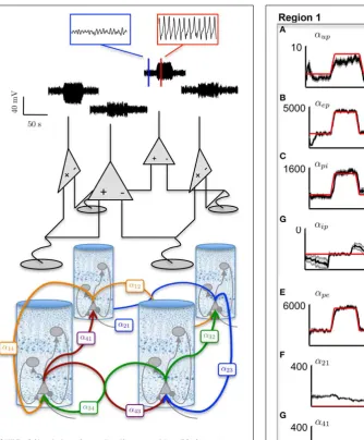 FIGURE 9 | Results from tracking pathological changes in theconnectivity gains that lead to epileptiform activity