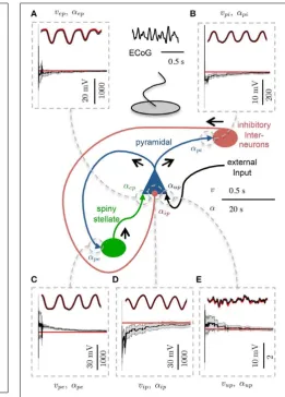 FIGURE 3 | Comparison of the estimation results from the modiﬁedKalman ﬁlter with the unscented Kalman ﬁlter from the Monte-CarloThe bias for parameter estimation as a percentage of the true value for theconnectivity gain using the analytic mean.simulation