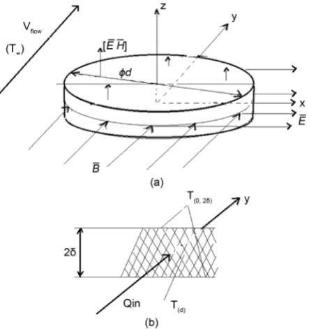 Figure 1. The Placement of banana slice in a layer for control portion and aspects of the electromagnetic field vectors affecting the banana slices