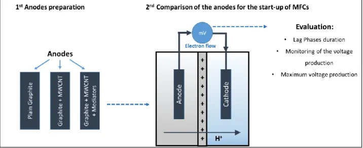 Figure 2.  Schematic representation of the followed research methodology 
