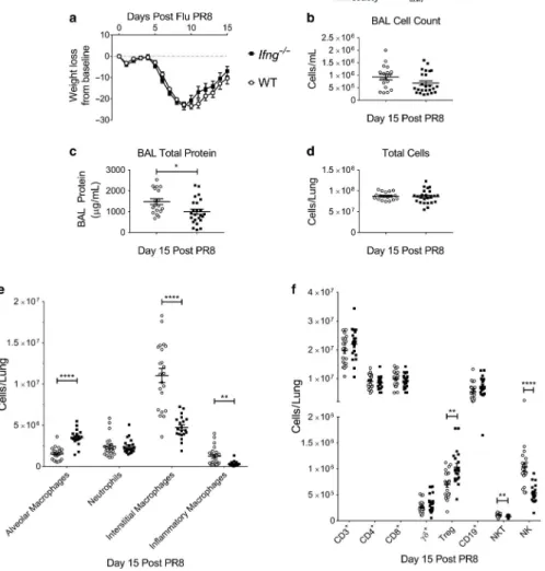 FIGURE 3  Interferon-γ null mice have altered immune cell populations and resolution kinetic parameters in Influenza-induced ALI
