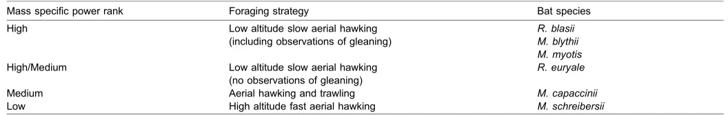 Table 1. Hypothesised mass specific power ranking based on foraging strategy for the study bats