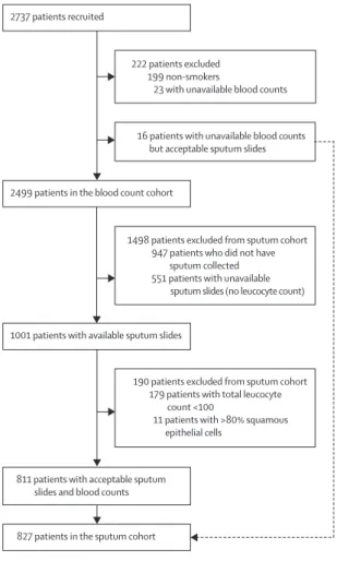 Figure 1: Patient flow diagram