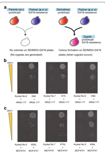 Fig. 3  Evaluation of the mating abilities of derivative strains. a Sche-