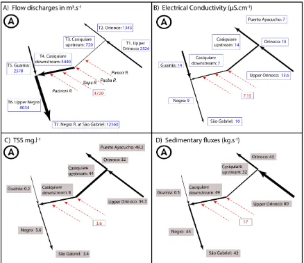 Figure 7. Schematic diagrams of the main morpho-dynamic and physico-chemical parameters measured in the Casiquiare hydrological complex between September 9-12, 2000