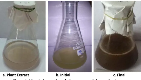 Figure 1: Visual observation of silver nanoparticles synthesis process  UV-vis spectroscopic analysis  