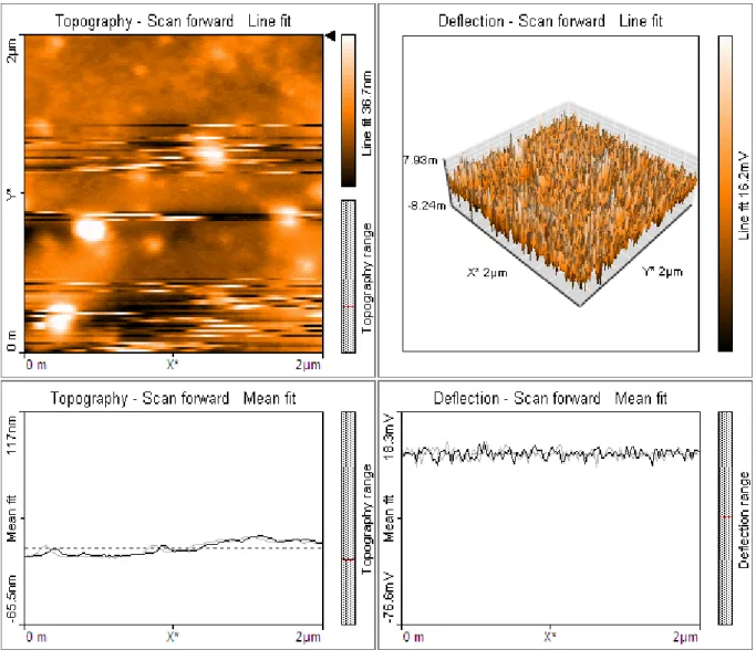 Figure 3: AFM image of Silver nanoparticles synthesized by A. marmelos 