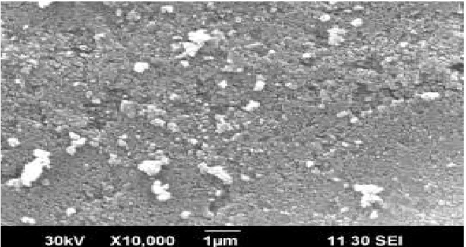 Figure 4: SEM image of Silver nanoparticles synthesized by A. marmelos 