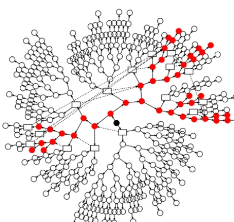 Fig. 4. Propagator tree for LABS 2 constraint (arity 5). The solid black node is the root
