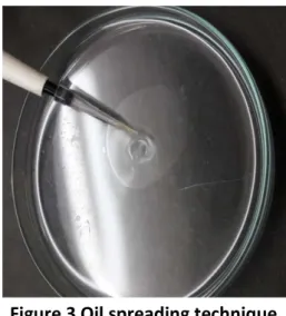 Figure 3 Oil spreading technique 