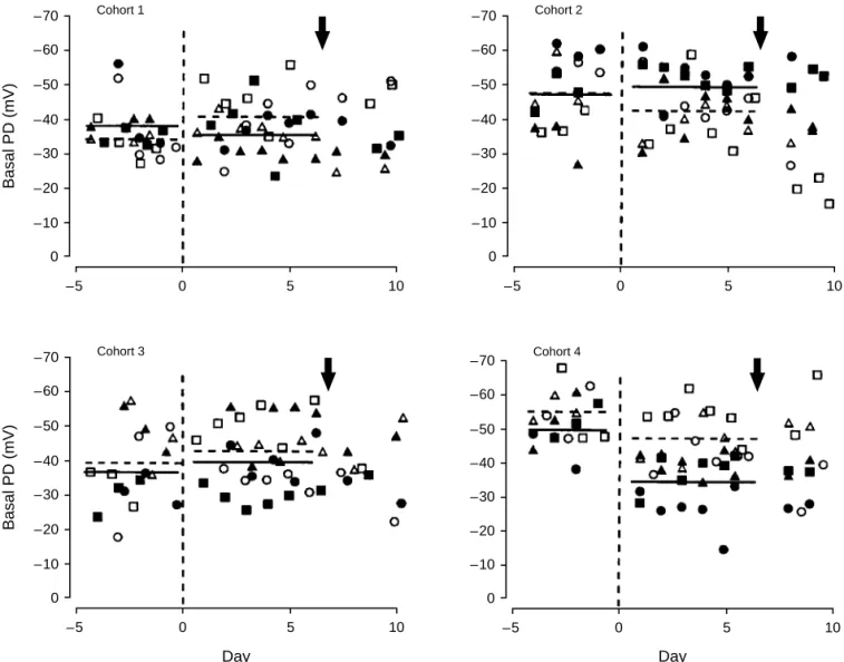 Figure 2. Basal Transepithelial Potential Difference (PD) before and after the Administration of Adenoviral Vector or Vehicle in Each Cohort.
