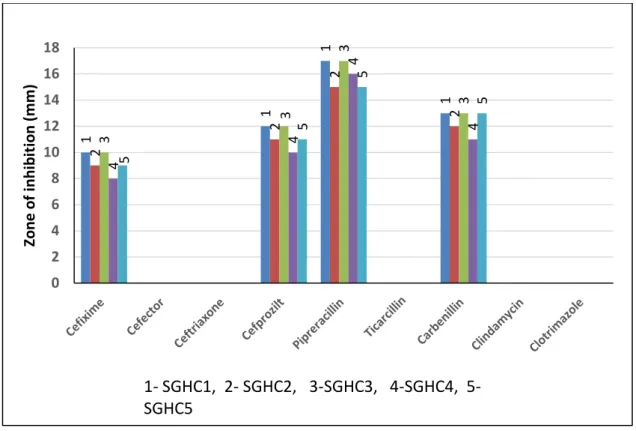 Fig. 6 - Antibiotic assay 