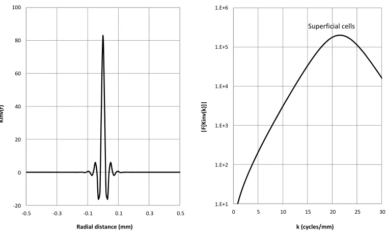 Figure 6. Cross-section of the inverse kernel of the OLF. Left panel, the inverse kernel; right panel, the power spectrum