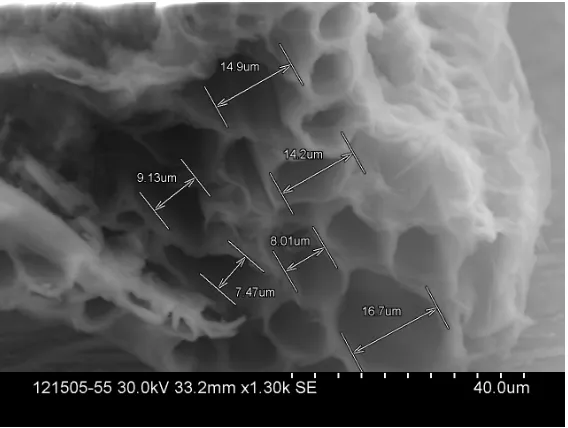 Figure 4. Concentration of by-products in the filtrate after hydrothermal pre-treatment